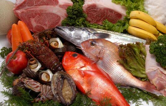 肉と魚を並べた写真。たんぱく質や脂質、栄養素の違いを比較するイメージ