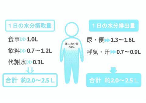 1日分の水の目安量を示すイラスト。体重×30〜40mlを意識したイメージ