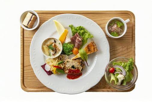 「野菜・肉・魚・サラダがバランスよく盛り付けられたダイエット向けプレート料理」